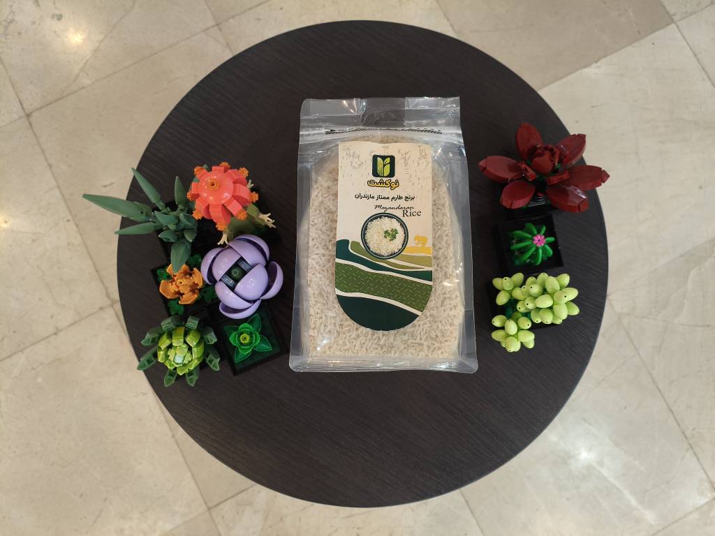 طارم هاشمی